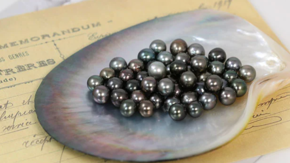 Perlas negras y grisáceas apiladas en una concha sobre papel envejecido