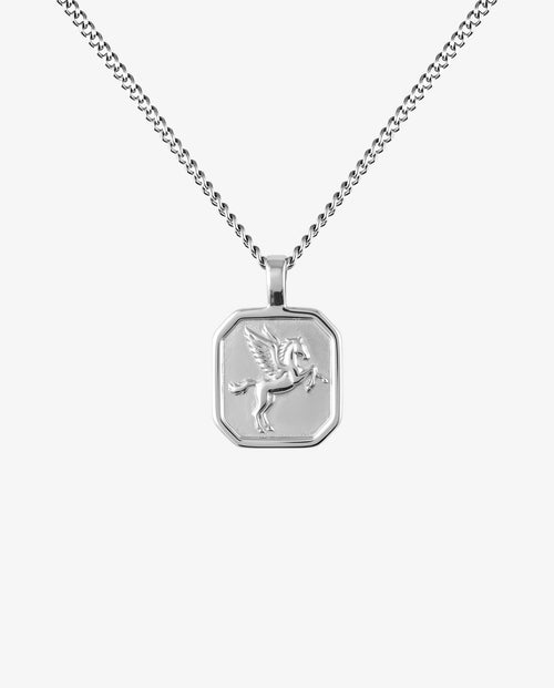 Silver chain necklace with an octagonal shield pendant engraved with a Pegasus