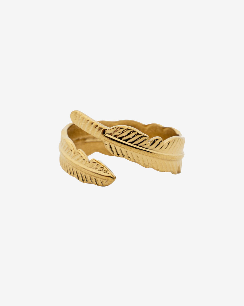 Primer plano de un anillo dorado Tahoe con borde de textura de hoja sobre fondo blanco